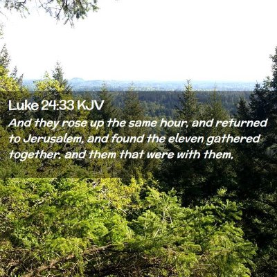 Picture 02 - Luke 24:33 KJV - And they rose up the same hour, and returned to - Bible Verse Picture
