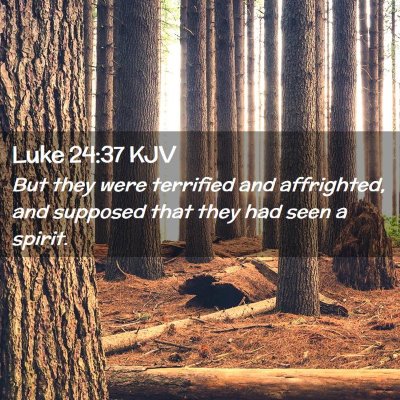 Picture 02 - Luke 24:37 KJV - But they were terrified and affrighted, and - Bible Verse Picture