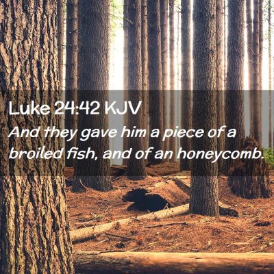 Picture 02 - Luke 24:42 KJV - And they gave him a piece of a broiled fish, and - Bible Verse Picture