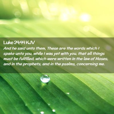 Picture 02 - Luke 24:44 KJV - And he said unto them, These are the words which - Bible Verse Picture