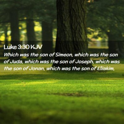 Picture 02 - Luke 3:30 KJV - Which was the son of Simeon, which was the son of - Bible Verse Picture