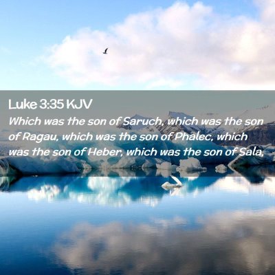 Picture 02 - Luke 3:35 KJV - Which was the son of Saruch, which was the son of - Bible Verse Picture