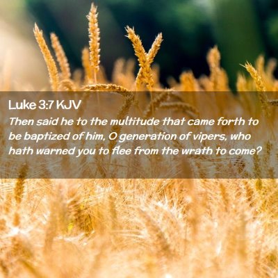 Picture 02 - Luke 3:7 KJV - Then said he to the multitude that came forth to - Bible Verse Picture