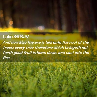 Picture 02 - Luke 3:9 KJV - And now also the axe is laid unto the root of the - Bible Verse Picture
