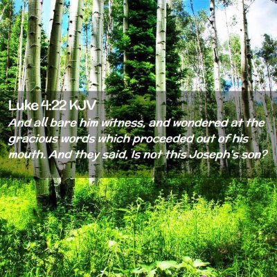 Picture 02 - Luke 4:22 KJV - And all bare him witness, and wondered at the - Bible Verse Picture