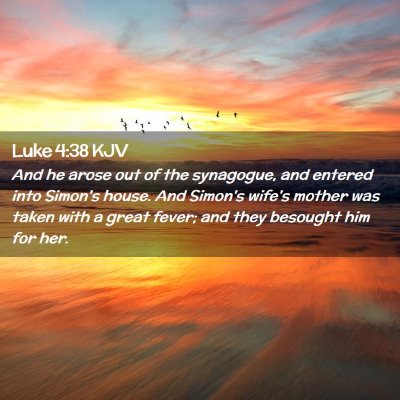Picture 02 - Luke 4:38 KJV - And he arose out of the synagogue, and entered - Bible Verse Picture