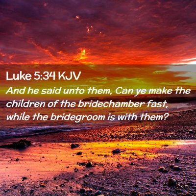 Picture 02 - Luke 5:34 KJV - And he said unto them, Can ye make the children - Bible Verse Picture