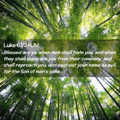 Picture 02 - Luke 6:22 KJV - Blessed are ye, when men shall hate you, and when - Bible Verse Picture