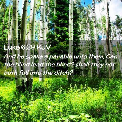 Picture 02 - Luke 6:39 KJV - And he spake a parable unto them, Can the blind - Bible Verse Picture