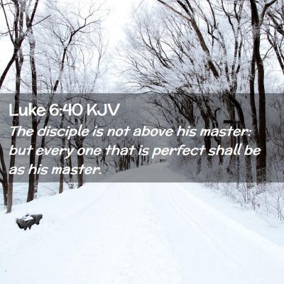 Picture 02 - Luke 6:40 KJV - The disciple is not above his master: but every - Bible Verse Picture