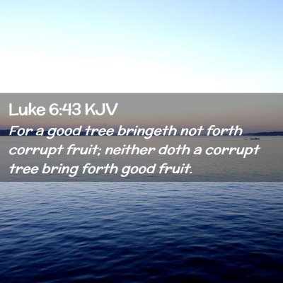 Picture 02 - Luke 6:43 KJV - For a good tree bringeth not forth corrupt fruit; - Bible Verse Picture