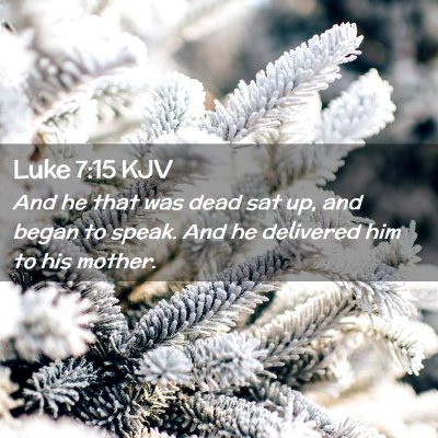 Picture 02 - Luke 7:15 KJV - And he that was dead sat up, and began to speak. - Bible Verse Picture