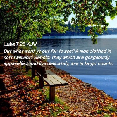 Picture 02 - Luke 7:25 KJV - But what went ye out for to see? A man clothed in - Bible Verse Picture