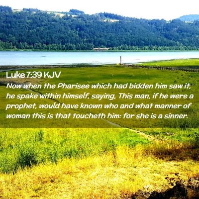 Picture 02 - Luke 7:39 KJV - Now when the Pharisee which had bidden him saw - Bible Verse Picture