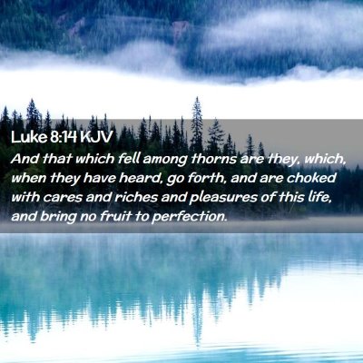 Picture 02 - Luke 8:14 KJV - And that which fell among thorns are they, which, - Bible Verse Picture