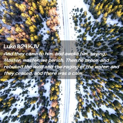 Picture 02 - Luke 8:24 KJV - And they came to him, and awoke him, saying, - Bible Verse Picture