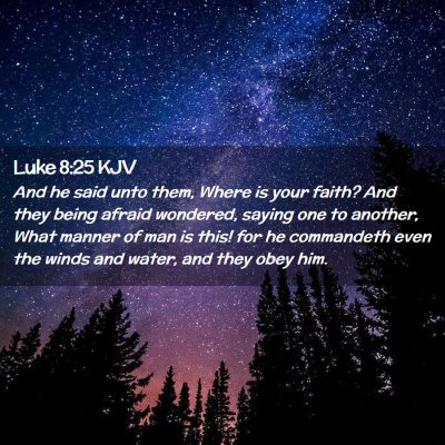 Picture 02 - Luke 8:25 KJV - And he said unto them, Where is your faith? And - Bible Verse Picture