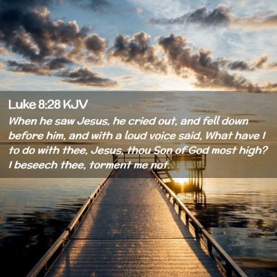 Picture 02 - Luke 8:28 KJV - When he saw Jesus, he cried out, and fell down - Bible Verse Picture