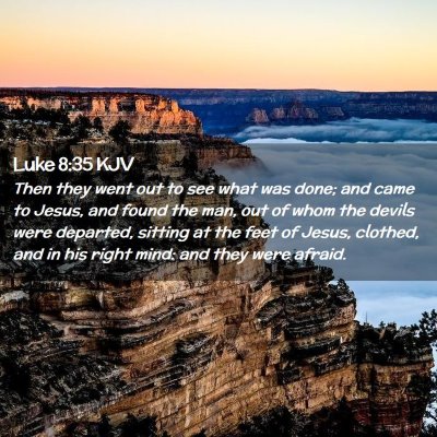 Picture 02 - Luke 8:35 KJV - Then they went out to see what was done; and came - Bible Verse Picture