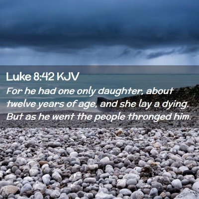 Picture 02 - Luke 8:42 KJV - For he had one only daughter, about twelve years - Bible Verse Picture