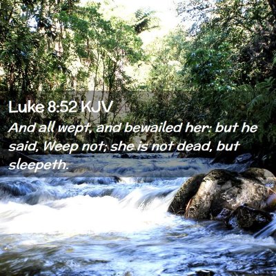 Picture 02 - Luke 8:52 KJV - And all wept, and bewailed her: but he said, Weep - Bible Verse Picture