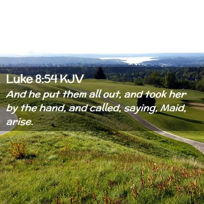 Picture 02 - Luke 8:54 KJV - And he put them all out, and took her by the - Bible Verse Picture