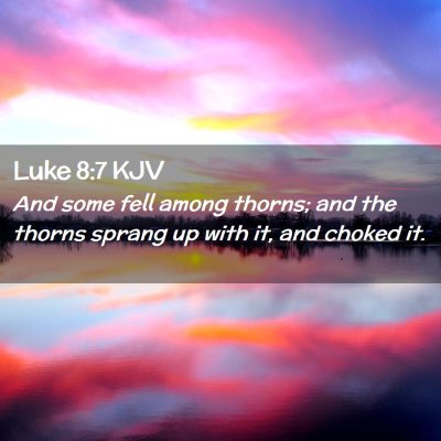Picture 02 - Luke 8:7 KJV - And some fell among thorns; and the thorns sprang - Bible Verse Picture