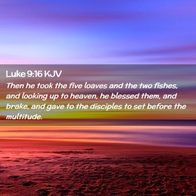 Picture 02 - Luke 9:16 KJV - Then he took the five loaves and the two fishes, - Bible Verse Picture