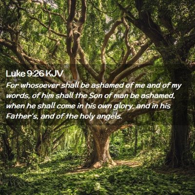 Picture 02 - Luke 9:26 KJV - For whosoever shall be ashamed of me and of my - Bible Verse Picture