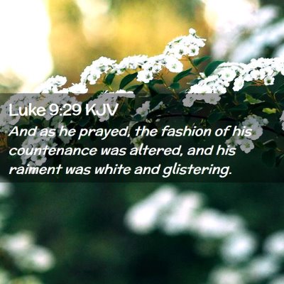 Picture 02 - Luke 9:29 KJV - And as he prayed, the fashion of his countenance - Bible Verse Picture