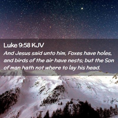 Picture 02 - Luke 9:58 KJV - And Jesus said unto him, Foxes have holes, and - Bible Verse Picture