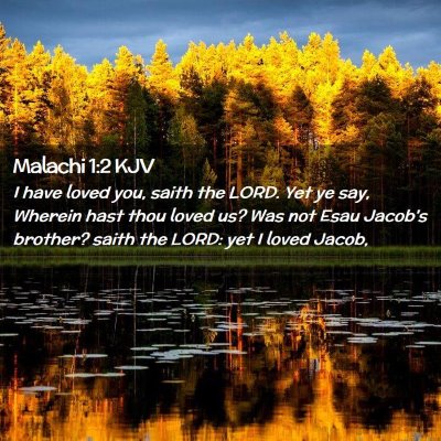 Picture 02 - Malachi 1:2 KJV - I have loved you, saith the LORD. Yet ye say, - Bible Verse Picture