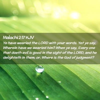 Picture 02 - Malachi 2:17 KJV - Ye have wearied the LORD with your words. Yet ye - Bible Verse Picture