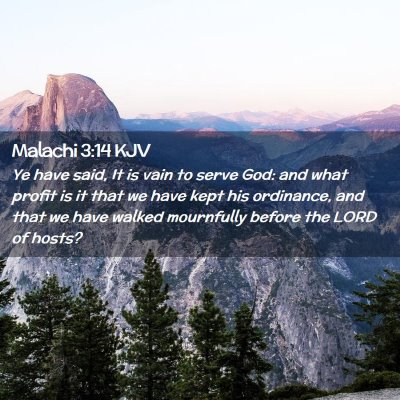 Picture 02 - Malachi 3:14 KJV - Ye have said, It is vain to serve God: and what - Bible Verse Picture