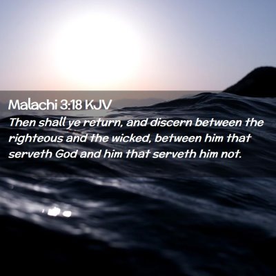 Picture 02 - Malachi 3:18 KJV - Then shall ye return, and discern between the - Bible Verse Picture