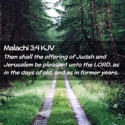 Picture 02 - Malachi 3:4 KJV - Then shall the offering of Judah and Jerusalem be - Bible Verse Picture