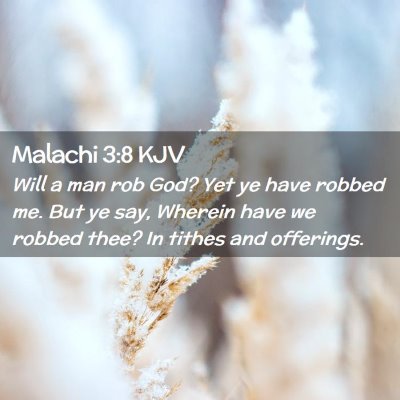 Picture 02 - Malachi 3:8 KJV - Will a man rob God? Yet ye have robbed me. But ye - Bible Verse Picture
