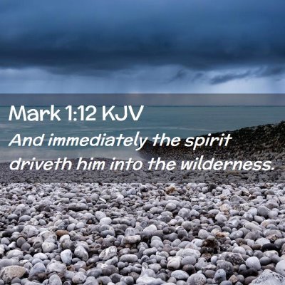 Picture 02 - Mark 1:12 KJV - And immediately the spirit driveth him into the - Bible Verse Picture