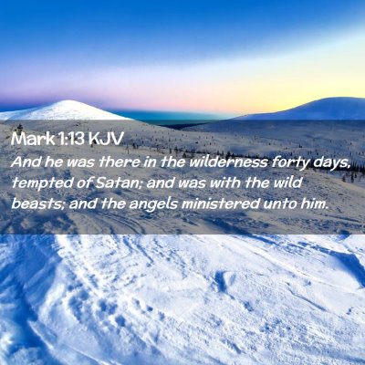 Picture 02 - Mark 1:13 KJV - And he was there in the wilderness forty days, - Bible Verse Picture