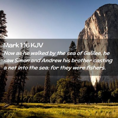 Picture 02 - Mark 1:16 KJV - Now as he walked by the sea of Galilee, he saw - Bible Verse Picture