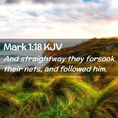 Picture 02 - Mark 1:18 KJV - And straightway they forsook their nets, and - Bible Verse Picture