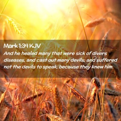 Picture 02 - Mark 1:34 KJV - And he healed many that were sick of divers - Bible Verse Picture