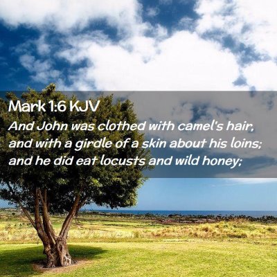 Picture 02 - Mark 1:6 KJV - And John was clothed with camel's hair, and with - Bible Verse Picture