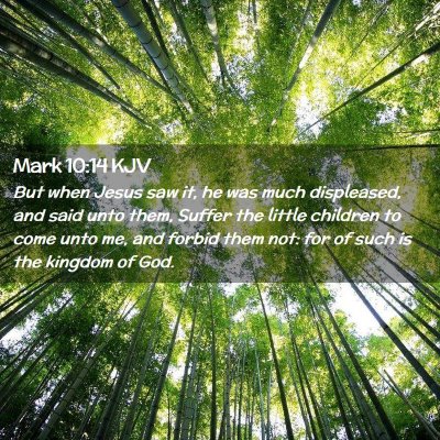 Picture 02 - Mark 10:14 KJV - But when Jesus saw it, he was much displeased, - Bible Verse Picture