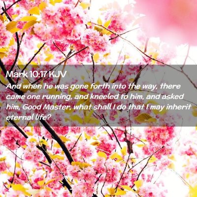 Picture 02 - Mark 10:17 KJV - And when he was gone forth into the way, there - Bible Verse Picture