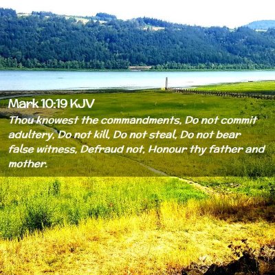 Picture 02 - Mark 10:19 KJV - Thou knowest the commandments, Do not commit - Bible Verse Picture