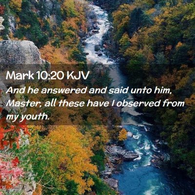 Picture 02 - Mark 10:20 KJV - And he answered and said unto him, Master, all - Bible Verse Picture