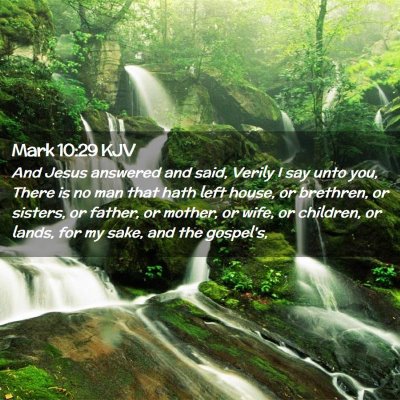 Picture 02 - Mark 10:29 KJV - And Jesus answered and said, Verily I say unto - Bible Verse Picture
