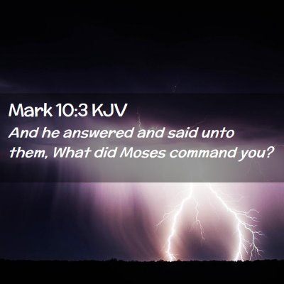 Picture 02 - Mark 10:3 KJV - And he answered and said unto them, What did - Bible Verse Picture
