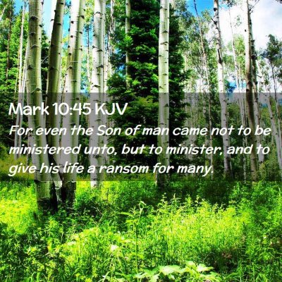Picture 02 - Mark 10:45 KJV - For even the Son of man came not to be ministered - Bible Verse Picture